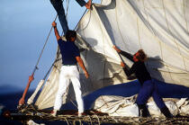 Equipage en train d'affaler un génois © Philip Plisson / Plisson La Trinité / AA00892 - Photo Galleries - Traditional sailing