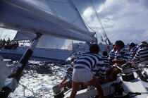 Equipage en pleine manoeuvre © Philip Plisson / Plisson La Trinité / AA00893 - Photo Galleries - Nautical terms