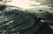 A wave © Philip Plisson / Plisson La Trinité / AA00917 - Photo Galleries - Storms