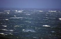 Tempête en pleine mer. © Philip Plisson / Plisson La Trinité / AA00980 - Nos reportages photos - Houle