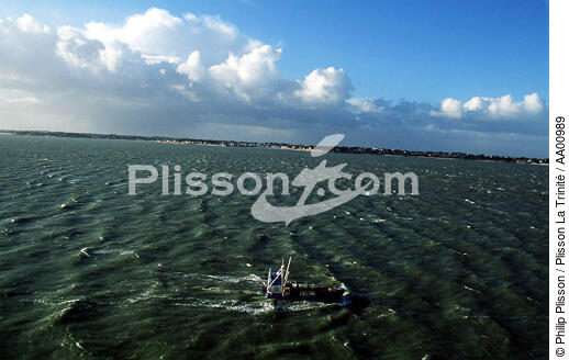 Ponton ostréicole sous le ciel bleu en Baie de Quiberon. - © Philip Plisson / Plisson La Trinité / AA00989 - Nos reportages photos - Pêche