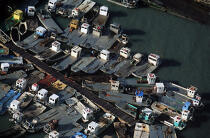 Flotte de pontons ostréicoles... © Philip Plisson / Plisson La Trinité / AA00996 - Photo Galleries - Fleet