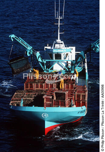 Excalibur II. - © Philip Plisson / Plisson La Trinité / AA00998 - Photo Galleries - Shellfish farming