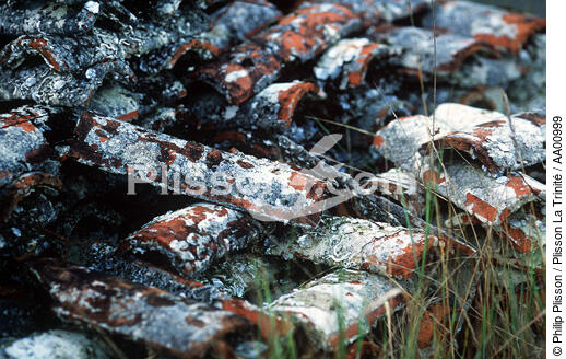 Capteurs d'huitres. - © Philip Plisson / Plisson La Trinité / AA00999 - Nos reportages photos - Conchyliculture