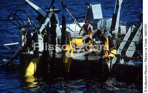 Ponton myticole. - © Guillaume Plisson / Plisson La Trinité / AA01001 - Nos reportages photos - Aquaculture