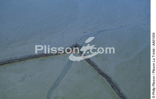 Parc à moules de bouchots. - © Philip Plisson / Plisson La Trinité / AA01004 - Nos reportages photos - Normandie