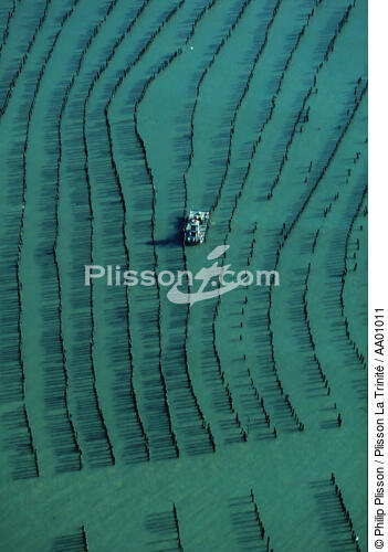 Ponton dans les parcs à moules. - © Philip Plisson / Plisson La Trinité / AA01011 - Nos reportages photos - Site [56]