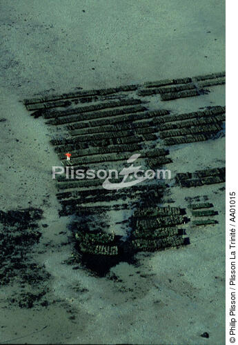 Parcs ostréicoles, vue aérienne. - © Philip Plisson / Plisson La Trinité / AA01015 - Photo Galleries - Aquaculture