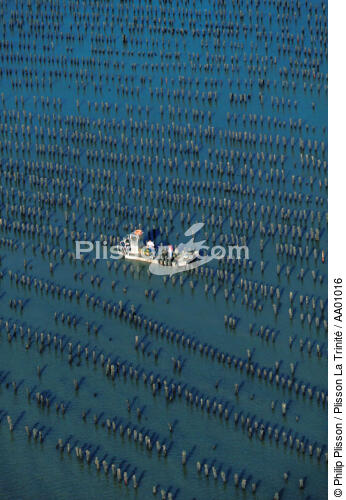 Parcs à moules à l'embouchure de la Vilaine - © Philip Plisson / Plisson La Trinité / AA01016 - Nos reportages photos - Mytiliculture