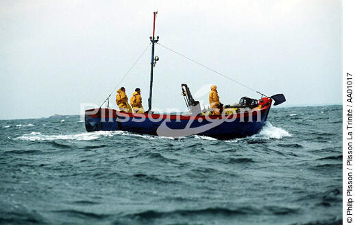 Pêche côtière. - © Philip Plisson / Plisson La Trinité / AA01017 - Nos reportages photos - Pêche