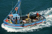 Pêche à la morgate. © Philip Plisson / Plisson La Trinité / AA01021 - Nos reportages photos - Bateau de pêche