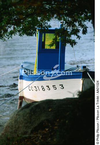 Petit bateau de pêche. - © Philip Plisson / Plisson La Trinité / AA01024 - Photo Galleries - Registration