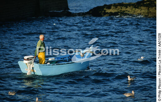 Goëlands près d'un petit canot de pêche. - © Philip Plisson / Plisson La Trinité / AA01028 - Photo Galleries - Small boat