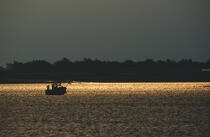 Contre jour sur petite pêche. © Philip Plisson / Plisson La Trinité / AA01034 - Photo Galleries - Backlit