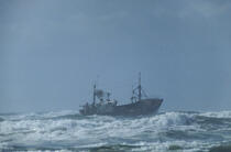 Bateau de pêche dans le gros temps © Philip Plisson / Plisson La Trinité / AA01036 - Photo Galleries - Trawler
