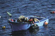 Pêcheurs sur un caseyeur. © Philip Plisson / Plisson La Trinité / AA01039 - Nos reportages photos - Pêche