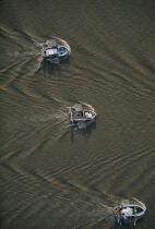 Pêche à la civelle, vue aérienne. © Philip Plisson / Plisson La Trinité / AA01041 - Nos reportages photos - Mer