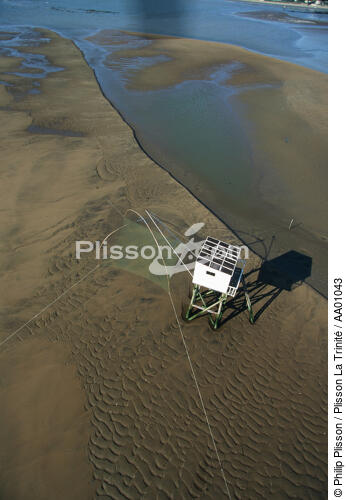 Pêche au carrelet. - © Philip Plisson / Plisson La Trinité / AA01043 - Nos reportages photos - Vertical