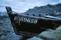 Immatriculation de bateau de pêche © Philip Plisson / Plisson La Trinité / AA01051 - Photo Galleries - Fishing vessel
