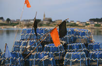 Casiers de pêche, île de Batz. © Philip Plisson / Plisson La Trinité / AA01053 - Nos reportages photos - Pêche