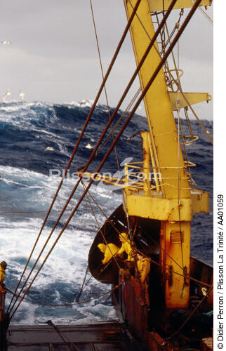 Grande pêche en Mer du Nord. - © Didier Perron / Plisson La Trinité / AA01059 - Nos reportages photos - Pêche