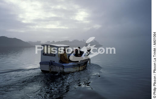 Caseyeur sur la Rance. - © Philip Plisson / Plisson La Trinité / AA01064 - Photo Galleries - Mist