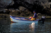 Petite pêche à Belle Ile. © Philip Plisson / Plisson La Trinité / AA01068 - Photo Galleries - Island [56]