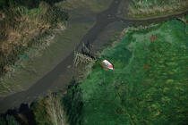 Vue aérienne d'une barque, marée basse. © Philip Plisson / Plisson La Trinité / AA01070 - Photo Galleries - Geomorphology