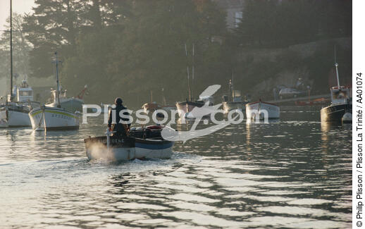 Retour de pêche à Sainte Marine. - © Philip Plisson / Plisson La Trinité / AA01074 - Photo Galleries - Rowing boat
