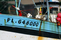 Immatriculation d'un bateau de pêche. © Philip Plisson / Plisson La Trinité / AA01076 - Photo Galleries - Fishing vessel