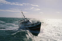 Le Monica II sous le soleil. © Guillaume Plisson / Plisson La Trinité / AA01081 - Photo Galleries - Fishing vessel