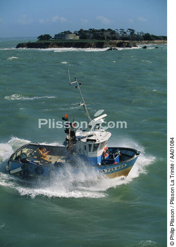 Pêche sur un caseyeur. - © Philip Plisson / Plisson La Trinité / AA01084 - Nos reportages photos - Caseyeur