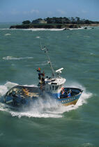 Pêche sur un caseyeur. © Philip Plisson / Plisson La Trinité / AA01084 - Photo Galleries - Fishing vessel