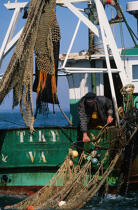 Pêcheur tirant un filet à bord d'un chalutier. © Guillaume Plisson / Plisson La Trinité / AA01096 - Nos reportages photos - Vertical