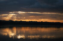 Oiseaux sur la rivière d'Etel. © Guillaume Plisson / Plisson La Trinité / AA01112 - Photo Galleries - Sunset