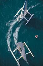 Passage de bouée pendant le trophée des multicoques. © Guillaume Plisson / Plisson La Trinité / AA01131 - Photo Galleries - Sailing Race