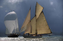 Creole and Altair. © Guillaume Plisson / Plisson La Trinité / AA01144 - Photo Galleries - Schooner [Yachting]