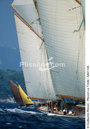 Thendara aux Régates Royales. - © Guillaume Plisson / Plisson La Trinité / AA01145 - Photo Galleries - Traditional sailing
