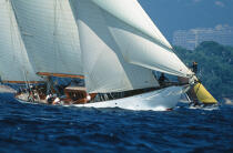 Régates royales : Thendara. © Guillaume Plisson / Plisson La Trinité / AA01146 - Photo Galleries - Classic Yachting