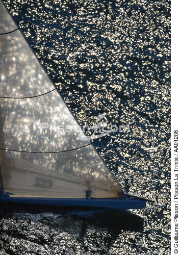 Class in america cons day. - © Guillaume Plisson / Plisson La Trinité / AA01208 - Photo Galleries - Elements of boat