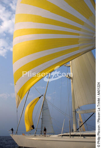 croisière sous spi. - © Philip Plisson / Plisson La Trinité / AA01224 - Photo Galleries - Cruise
