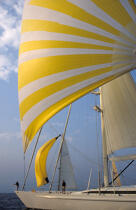 croisière sous spi. © Philip Plisson / Plisson La Trinité / AA01224 - Photo Galleries - Yachting