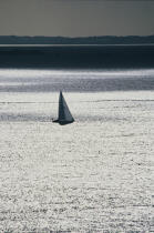 Monocoque de croisière en contre jour. © Guillaume Plisson / Plisson La Trinité / AA01227 - Photo Galleries - Traditional sailing
