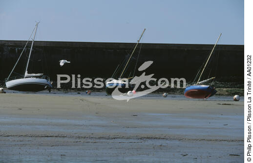 bateaux en cale sèche - © Philip Plisson / Plisson La Trinité / AA01232 - Photo Galleries - Beach