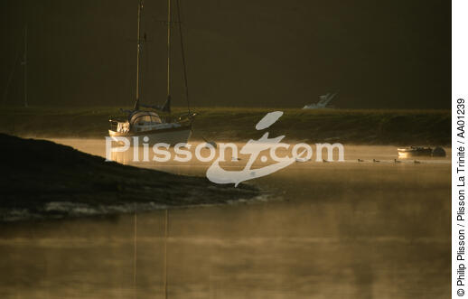 Petit matin sur l'Odet. - © Philip Plisson / Plisson La Trinité / AA01239 - Photo Galleries - Duck