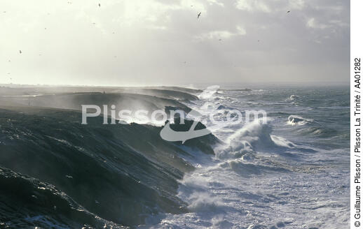 Tempête sur Quiberon, côte sauvage. - © Guillaume Plisson / Plisson La Trinité / AA01282 - Photo Galleries - Storm at sea