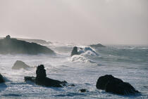 Pointe de Percho. © Guillaume Plisson / Plisson La Trinité / AA01286 - Photo Galleries - Coastal landscape