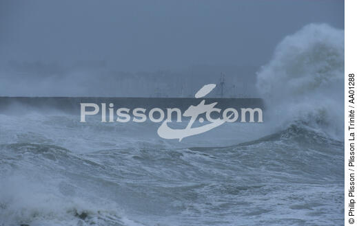 Tempête sur le port de Quiberon. - © Philip Plisson / Plisson La Trinité / AA01288 - Nos reportages photos - Site [56]