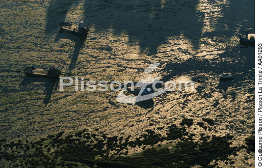 Pontons ostréicoles et voiliers à marée basse. - © Guillaume Plisson / Plisson La Trinité / AA01293 - Nos reportages photos - Ostréiculture