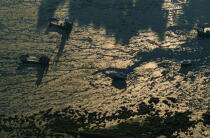 Pontons ostréicoles et voiliers à marée basse. © Guillaume Plisson / Plisson La Trinité / AA01293 - Nos reportages photos - Guillaume Plisson